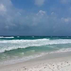 Meet your Posher, Edna